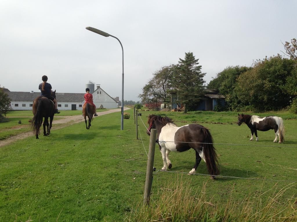 Lokken Farm Holiday 外观 照片